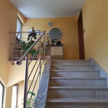 Razman Apartment Buje